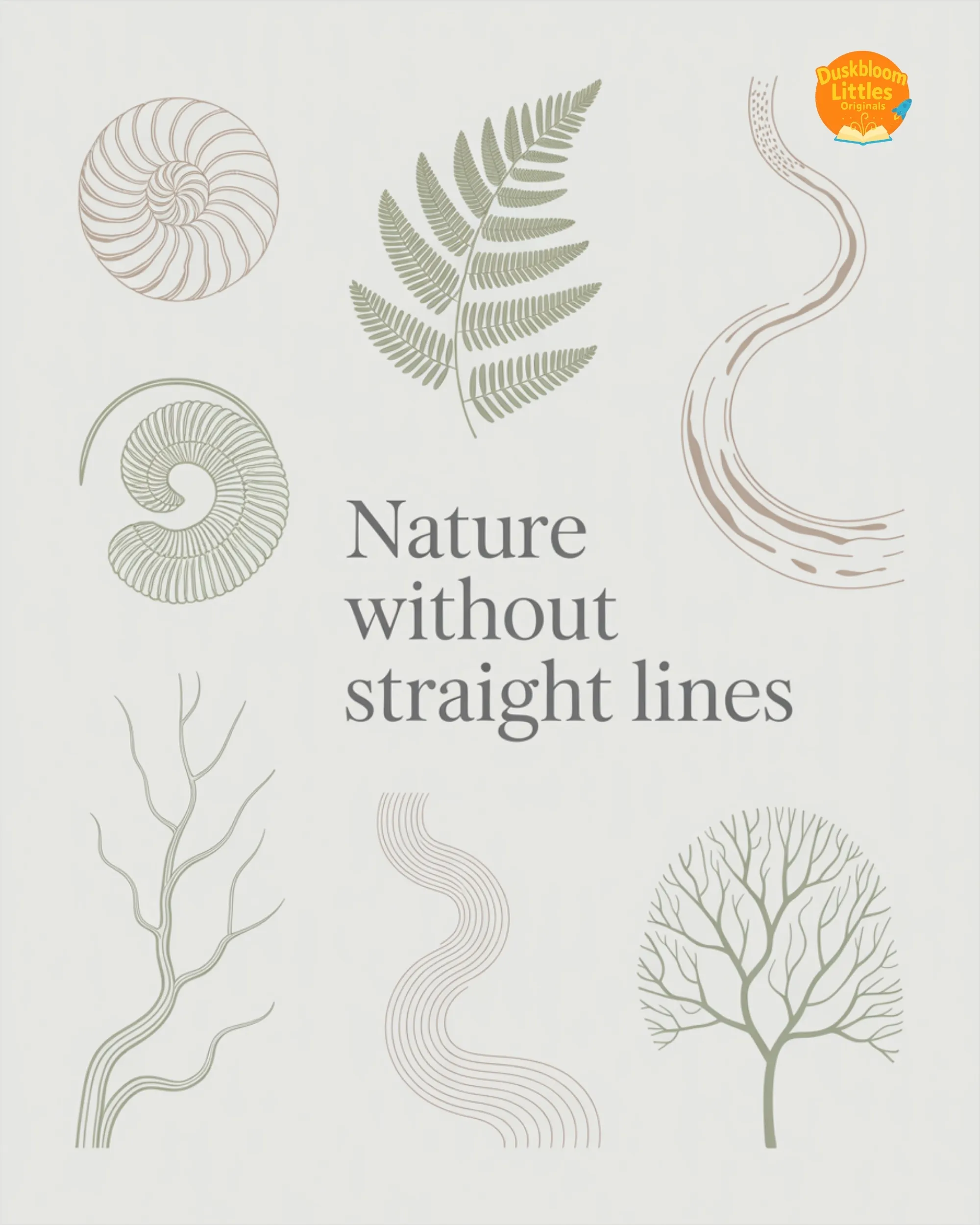 Nature Without Straight Lines